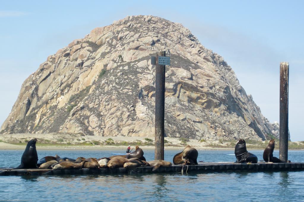 Morro Crest Inn Morro Bay Zewnętrze zdjęcie